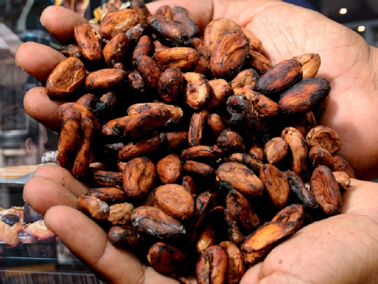 Kakao idzie na nowy rekord. Nawet 15 tys. usd za tonę